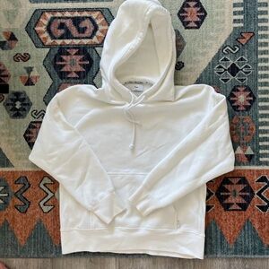 Aritzia boyfriend hoodie